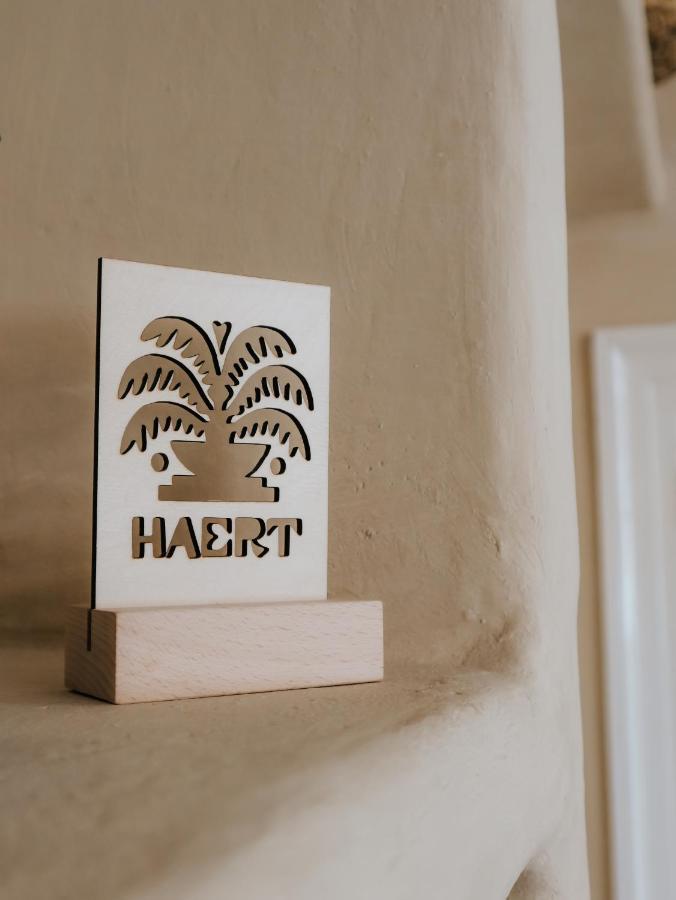 Haert Boutique Wellness Suites City Centre 哈莱姆 外观 照片
